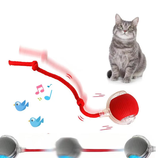 Interactive Dog Toys USB C Rechargeable Pet Interactive Toys Electric Cats Ball Automatic Rolling Fake Tail Ball Dog Cats Toy