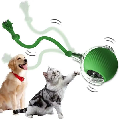 Interactive Dog Toys USB C Rechargeable Pet Interactive Toys Electric Cats Ball Automatic Rolling Fake Tail Ball Dog Cats Toy