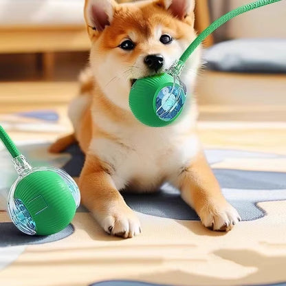 Interactive Dog Toys USB C Rechargeable Pet Interactive Toys Electric Cats Ball Automatic Rolling Fake Tail Ball Dog Cats Toy